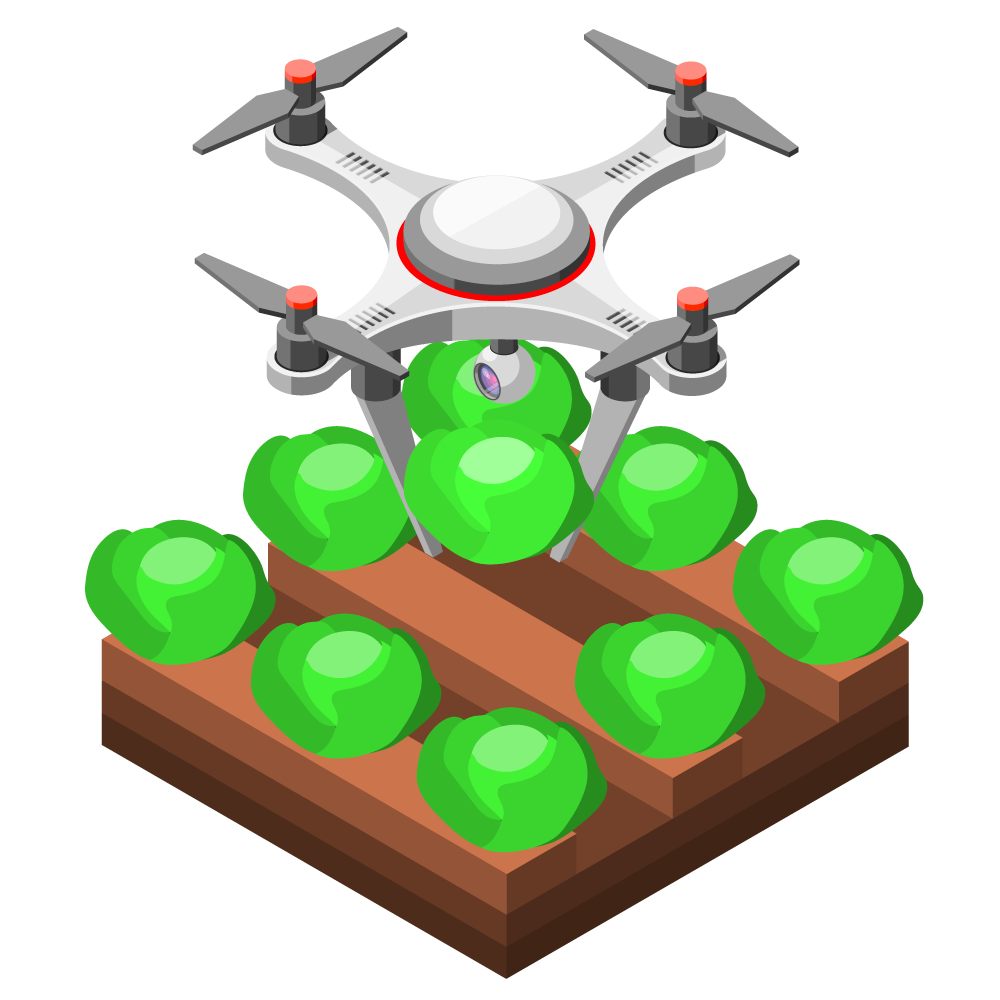 Illustration of diverse people collaborating and learning